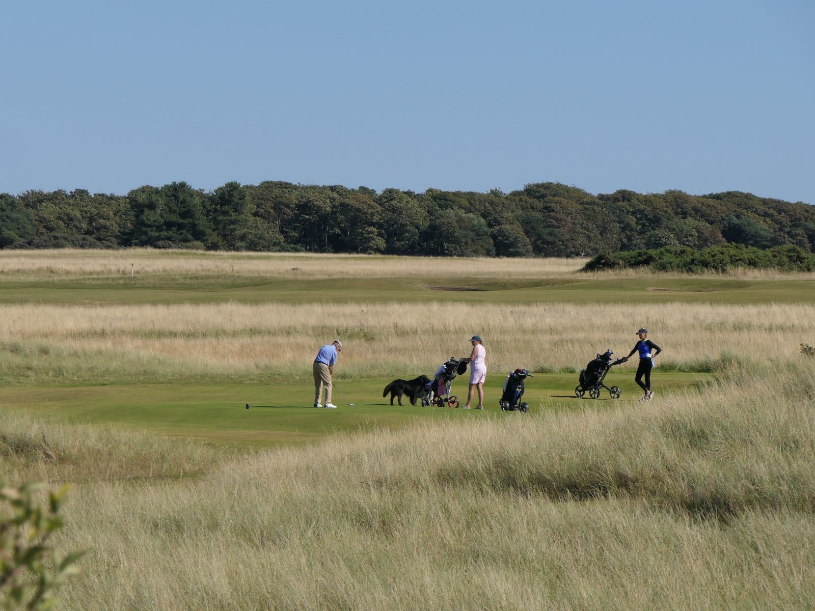 Muirfield (Honourable Company of Edinburgh Golfers)