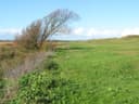 Burnham & Berrow