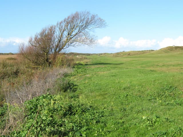 Burnham & Berrow Golf Club