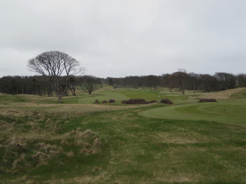 The Renaissance Club