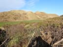 Royal County Down