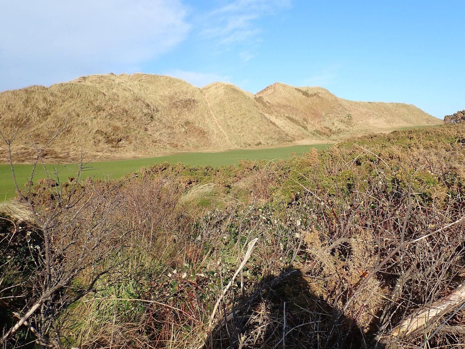 Royal County Down Golf Club