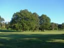 Worplesdon