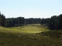 Swinley Forest