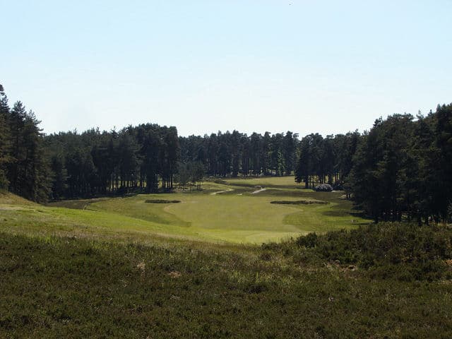 Swinley Forest Golf Club