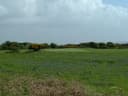 Pyle & Kenfig
