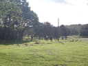 Moortown