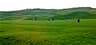 Best time to visit Ireland