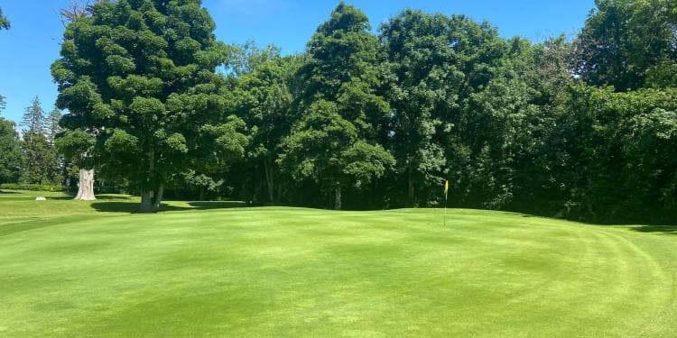 The Golf Course at Adare Manor — photo 2