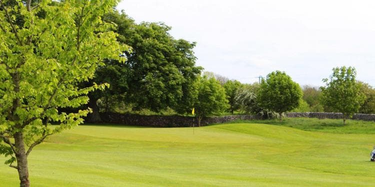 Ballinrobe Golf Club — photo 8