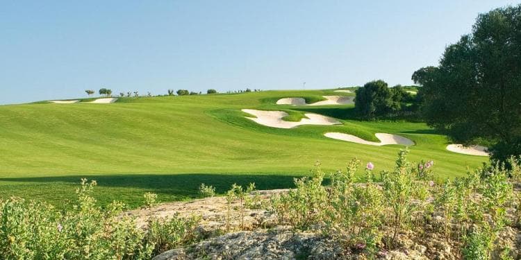 Amendoeira — Faldo Course — photo 4