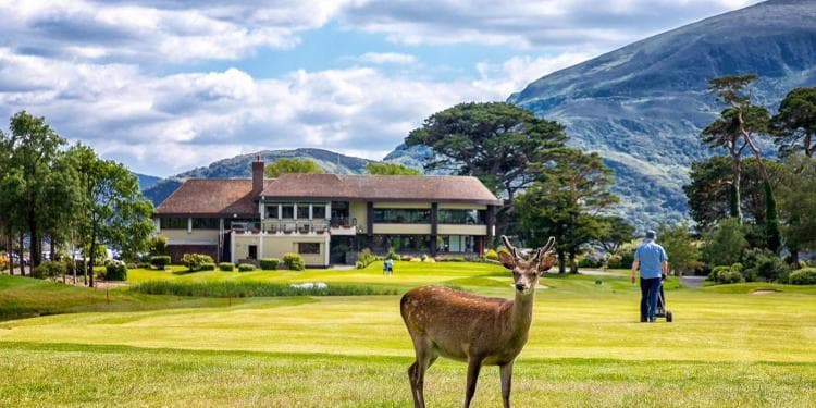 Killarney Golf & Fishing Club (Killeen Course) — photo 9