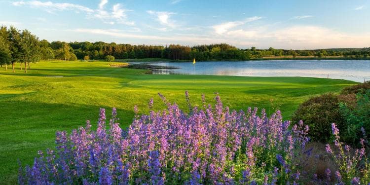 Slieve Russell Hotel Golf & Country Club — photo 6