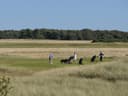 Muirfield