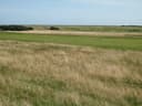 Carnoustie