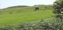 Holyhead