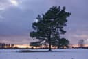 Walton Heath (Old)