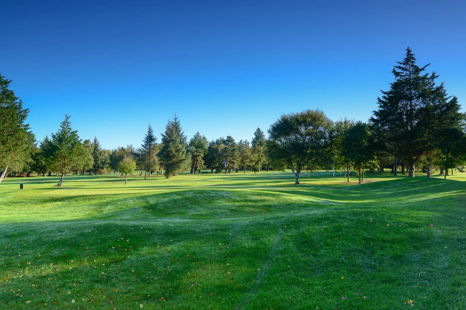 Shannon Golf Club