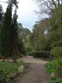 Sunningdale (Old)