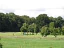 Fota Island
