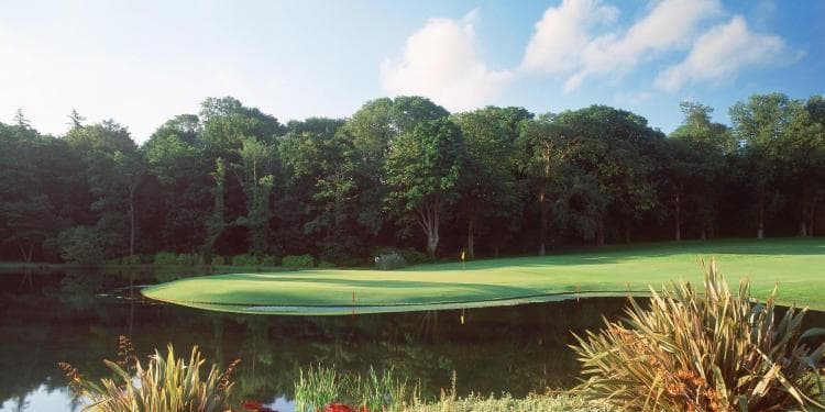Fota Island Resort — photo 4