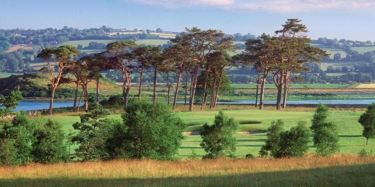 Fota Island Resort — photo 5