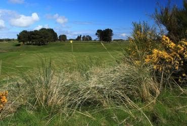 Monifieth Golf Links (Medal Course) — photo 4