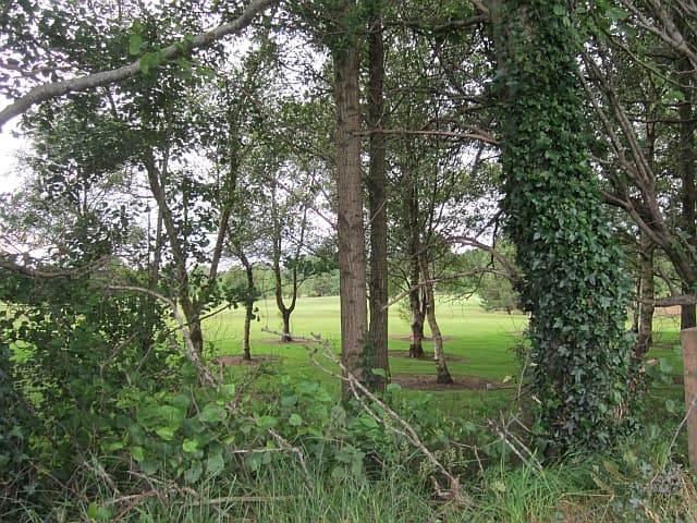 Ballina Golf Club