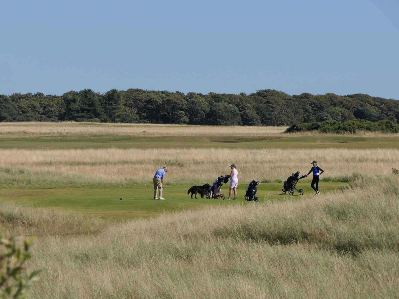 Muirfield