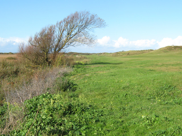 Burnham & Berrow