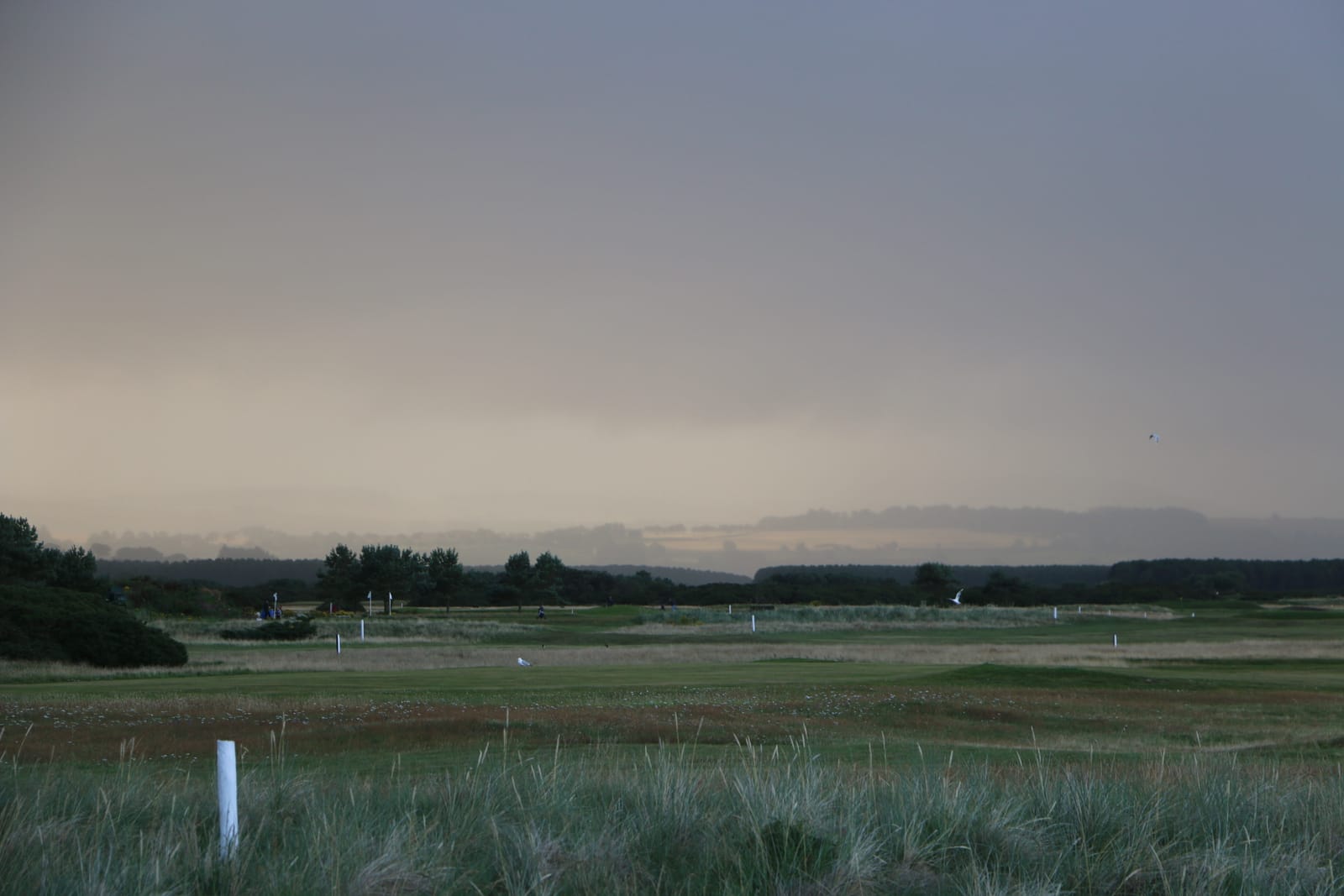 Montrose (1562)