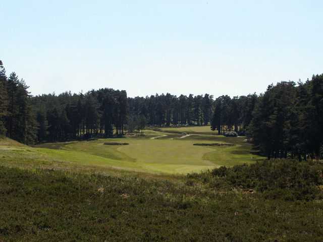 Swinley Forest