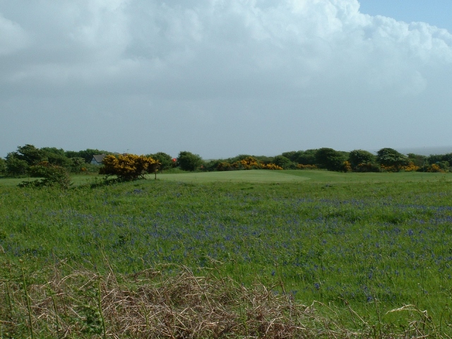 Pyle & Kenfig